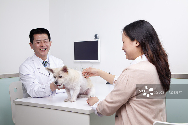带着宠物狗的女人在兽医诊所图片素材