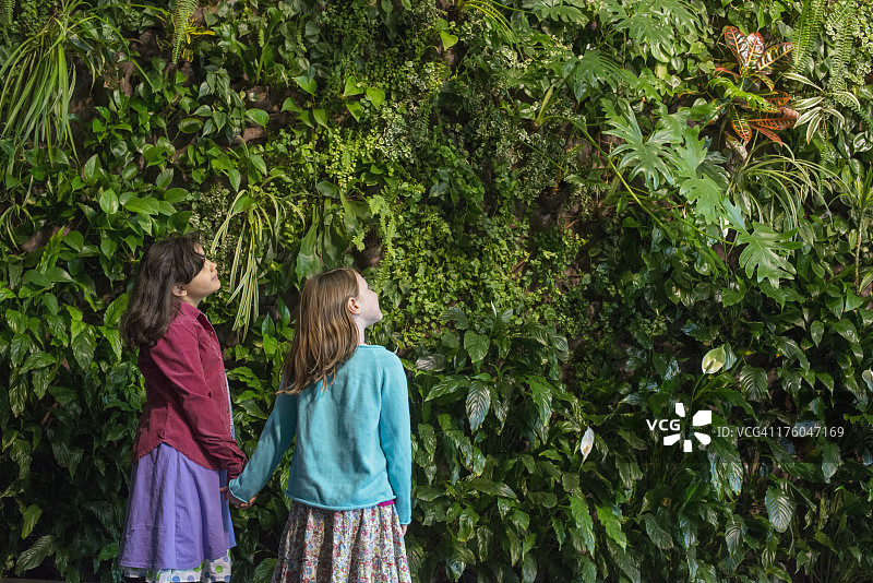 春天在城市的户外。一个城市的生活方式。两个孩子手牵着手，抬头望着一堵长满树叶的墙，上面种着各种各样的植物。图片素材