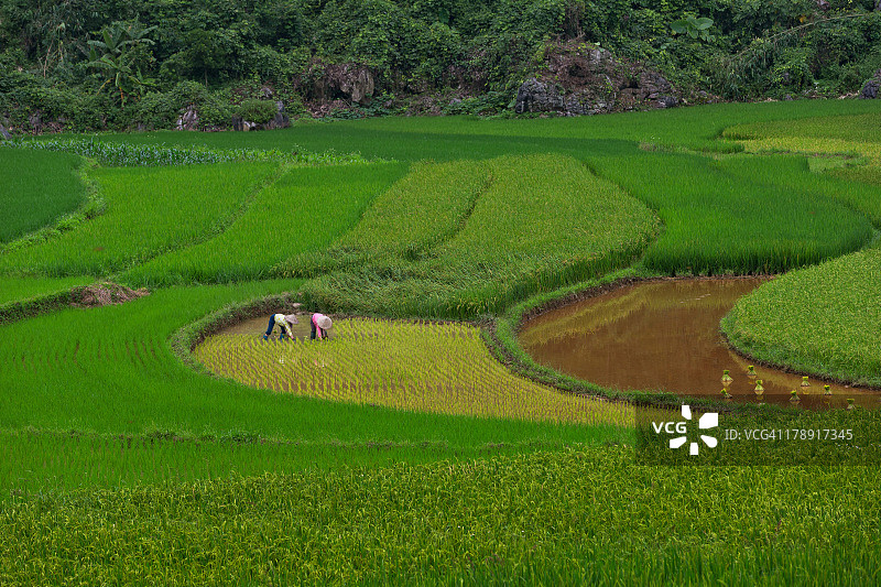 越南农村景观图片素材