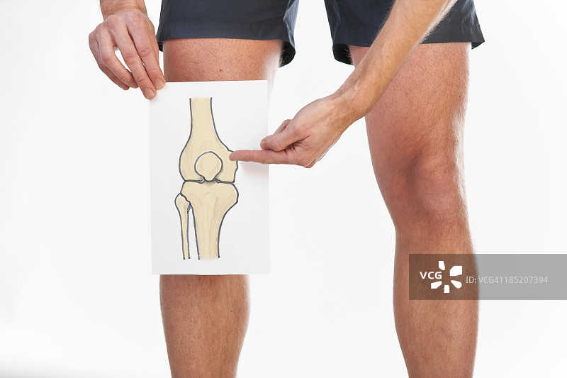 膝关节图图片素材