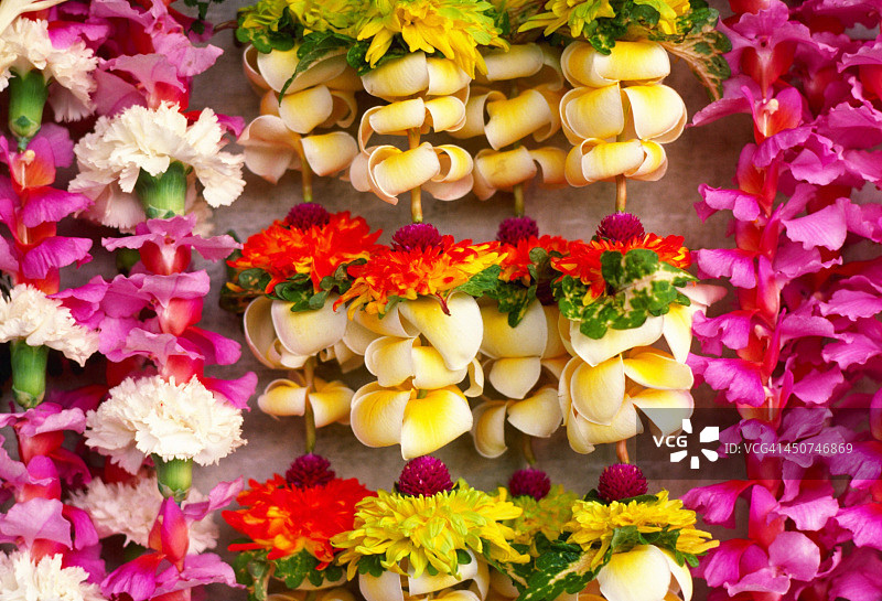 夏威夷花花环图片素材