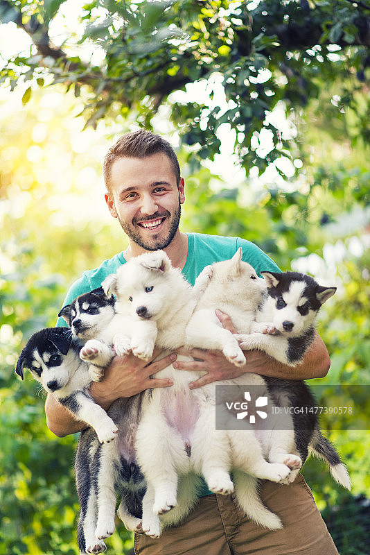 兴高采烈的年轻人抱着5只可爱的哈士奇小狗图片素材