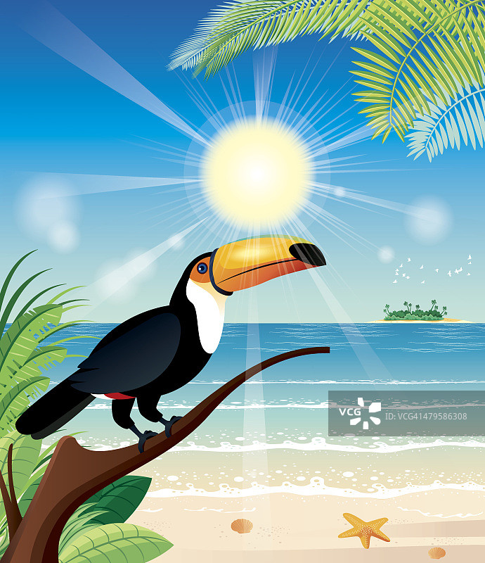 热带海滩及鸟类图片素材