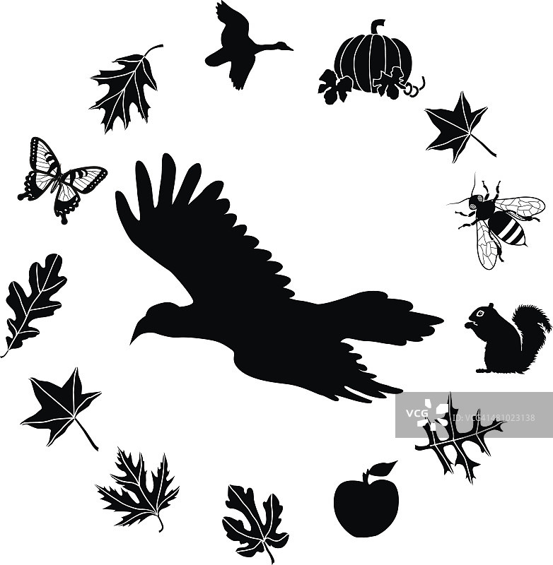 飞翔的乌鸦被秋天的森林包围，野生动物的标志边界图片素材
