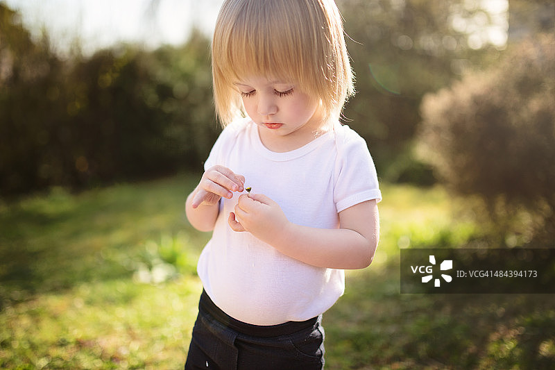 可爱的小孩拔出雏菊花瓣图片素材