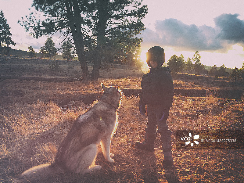 男孩和狗在秋天的荒野里图片素材