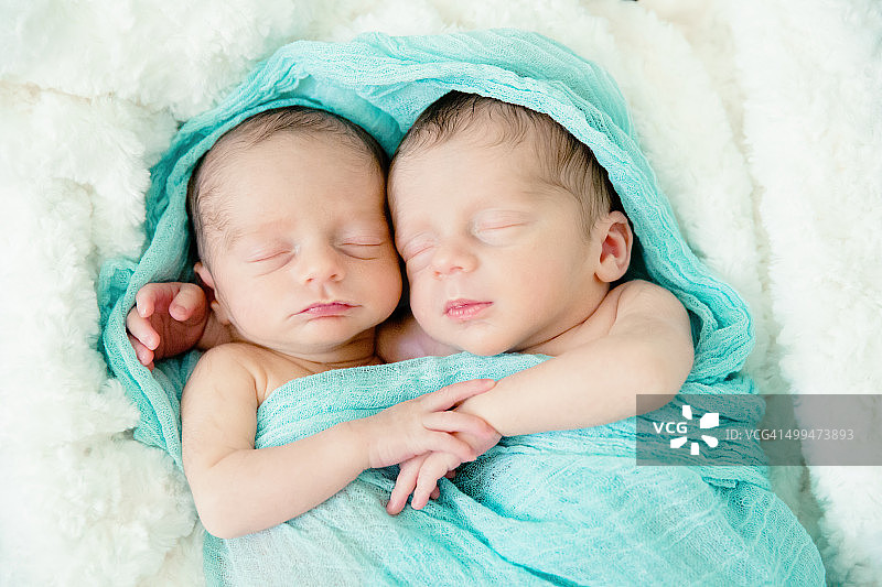 睡觉刚出生的双胞胎图片素材