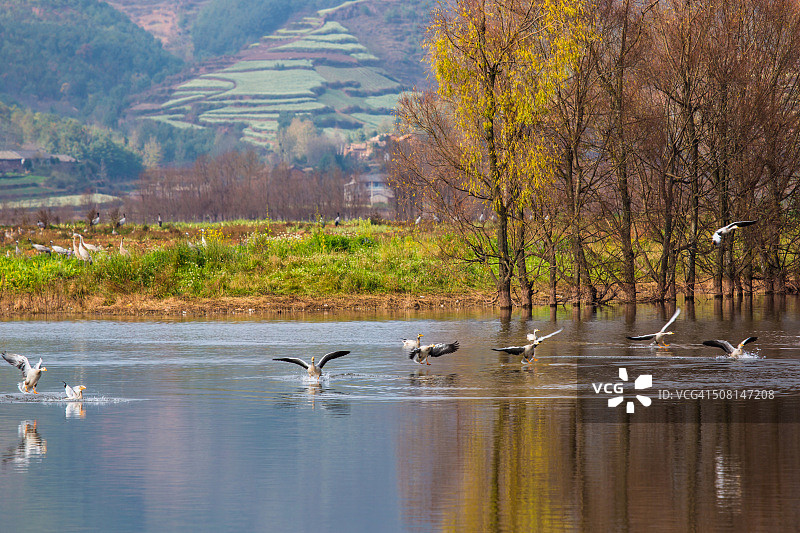云南年湖的秋景图片素材