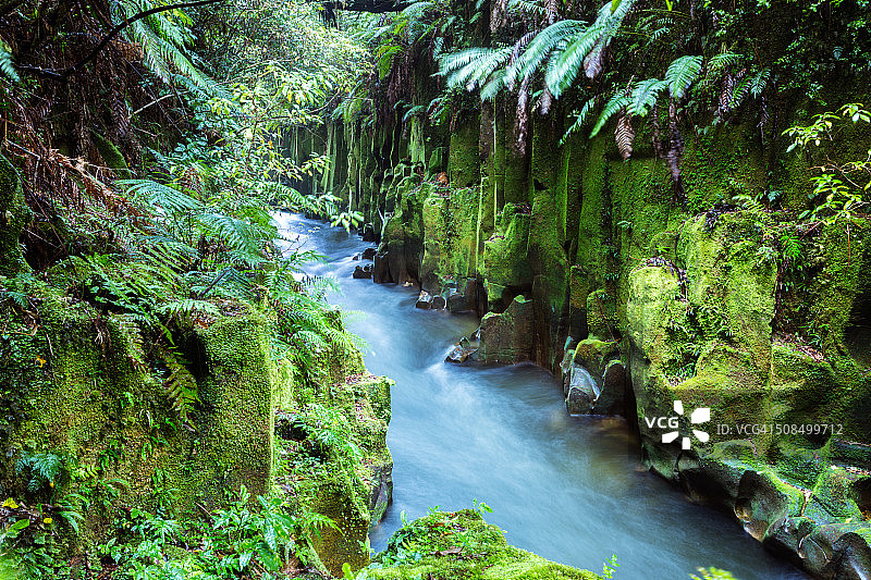 新西兰惠里纳基森林的峡谷和河流图片素材
