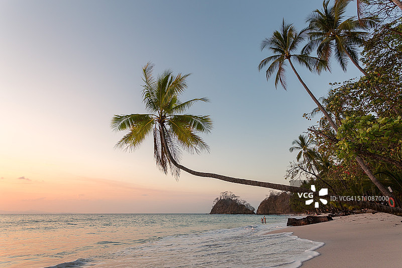 哥斯达黎加热带海滩上的日落，棕榈树图片素材