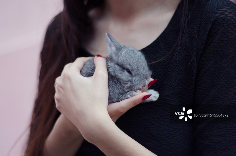 一个年轻女人手里拿着一只小兔子图片素材