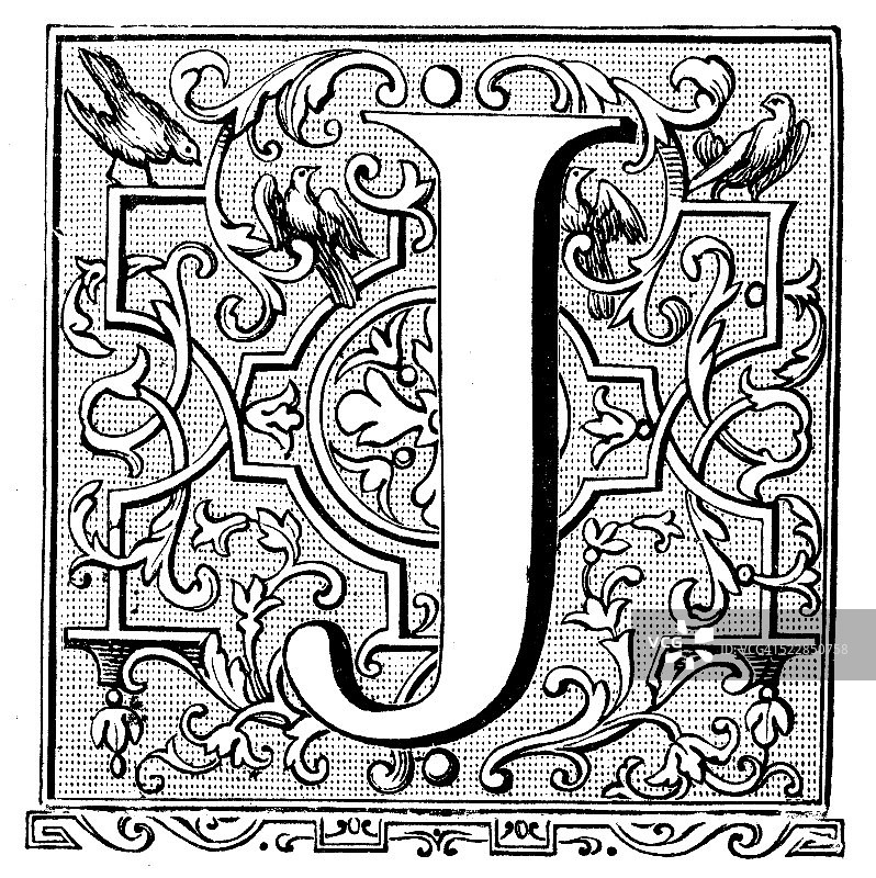 华丽的大写字母J的古董插图图片素材