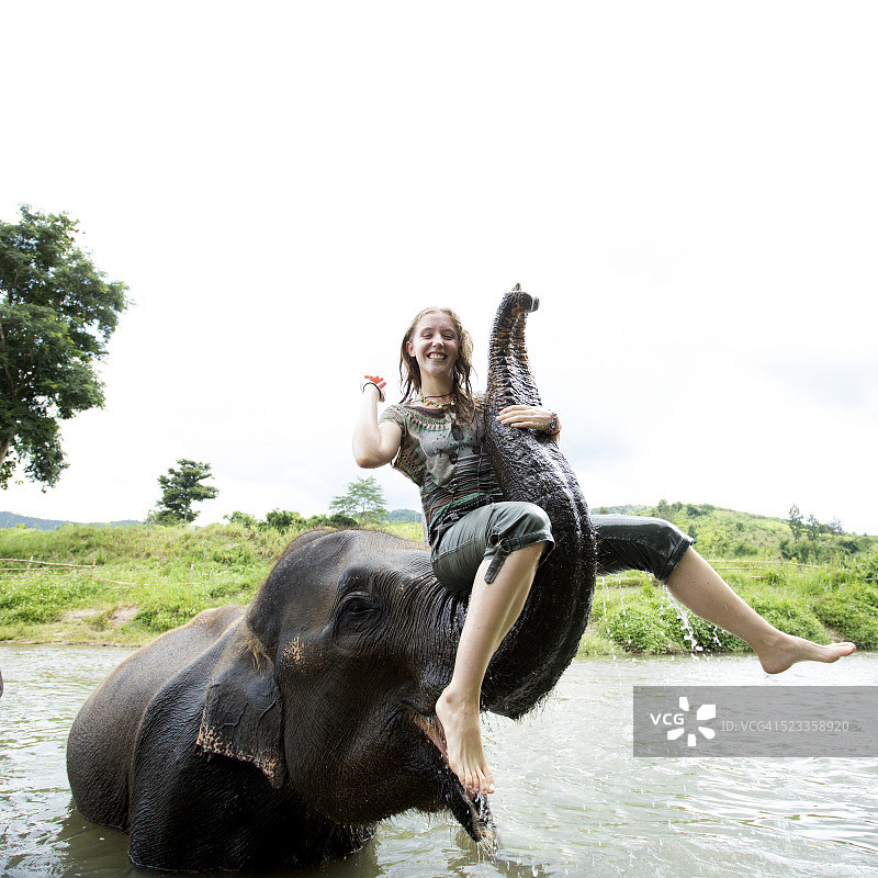 一名女游客坐在大象上，在泰国清迈的河里洗澡图片素材