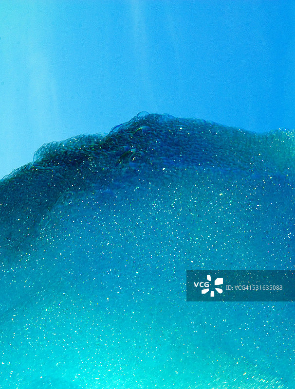 蓝色/青色泡沫泡沫膨胀图片素材