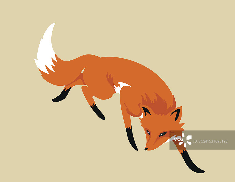 卡通狐狸孤立的米色背景图片素材