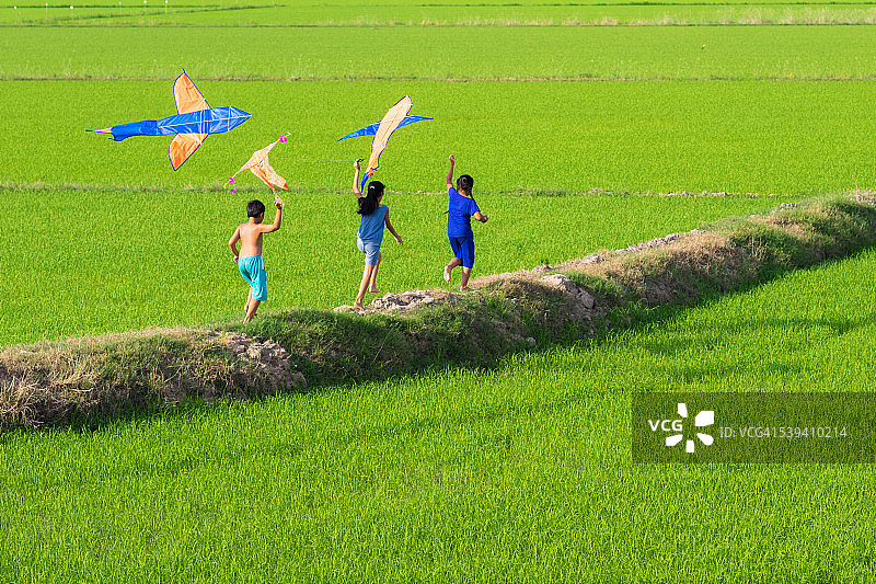 亚洲的孩子们在绿色稻田的小路上玩风筝图片素材