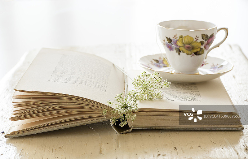 茶杯、书和花的工作室拍摄图片素材