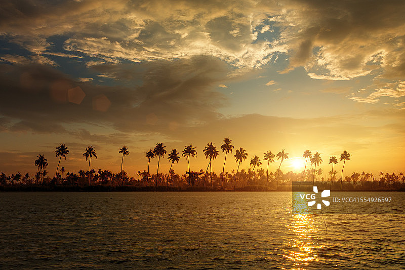日落时棕榈树的剪影。图片素材