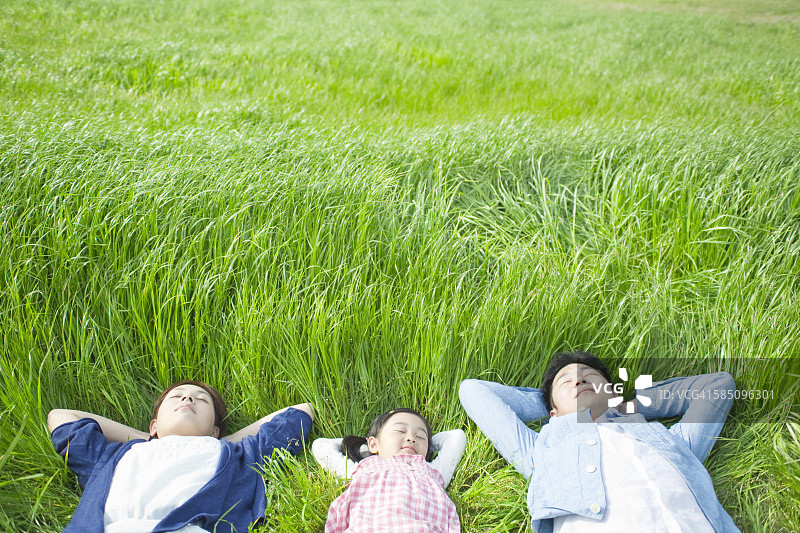 一家人躺在草地上图片素材