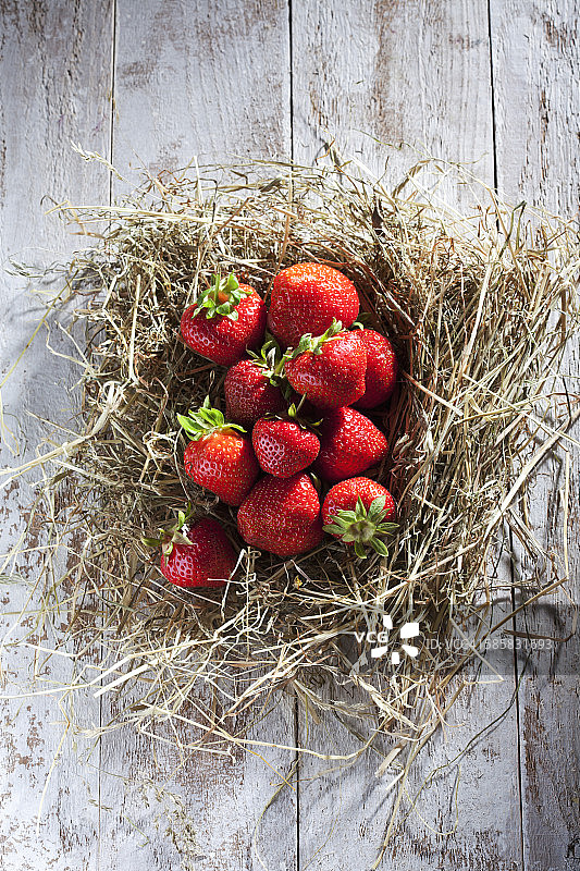 草莓的巢图片素材