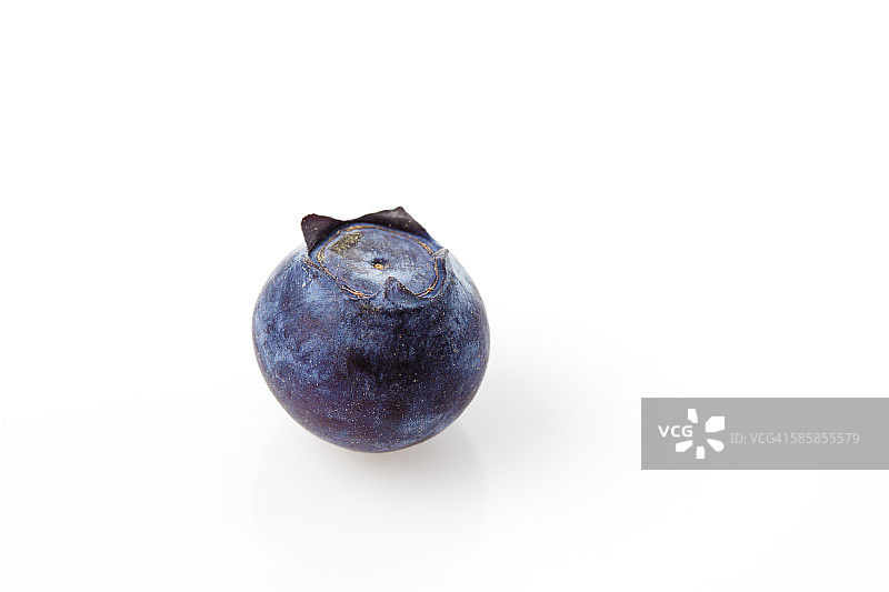 蓝莓,Vaccinium myrtillus图片素材