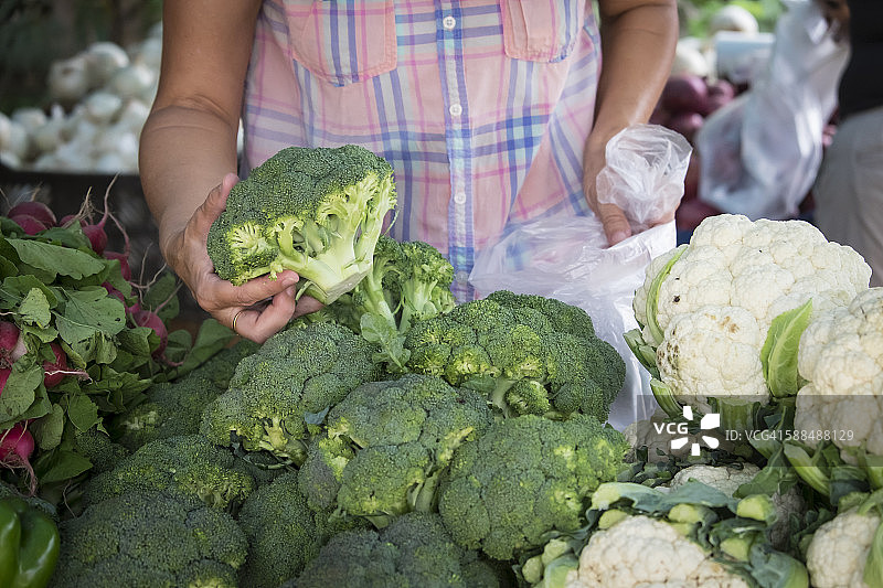 墨西哥，布塞里亚斯，纳亚里特，妇女在当地农产品市场挑选蔬菜图片素材