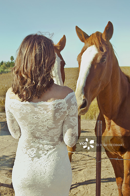 新娘站在两匹马旁边图片素材
