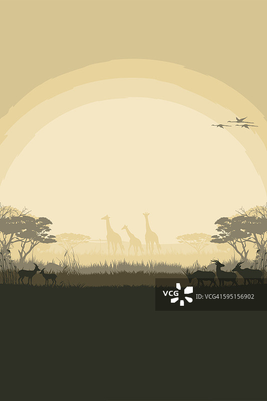 非洲狩猎背景羚羊和长颈鹿图片素材