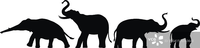 大象轮廓图片素材