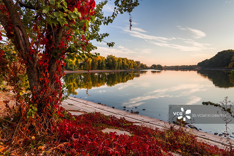 秋天湖面上有野葡萄图片素材