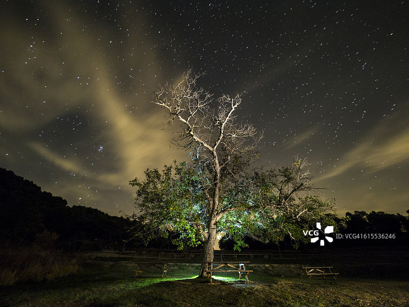 一棵核桃树，在一个野餐的夜晚，满天的星星和云彩图片素材