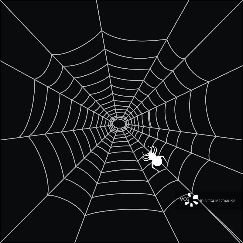 蜘蛛网设计图片素材