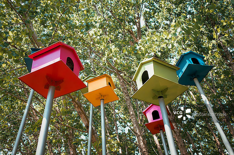色彩斑斓的鸟屋在树，木材图片素材