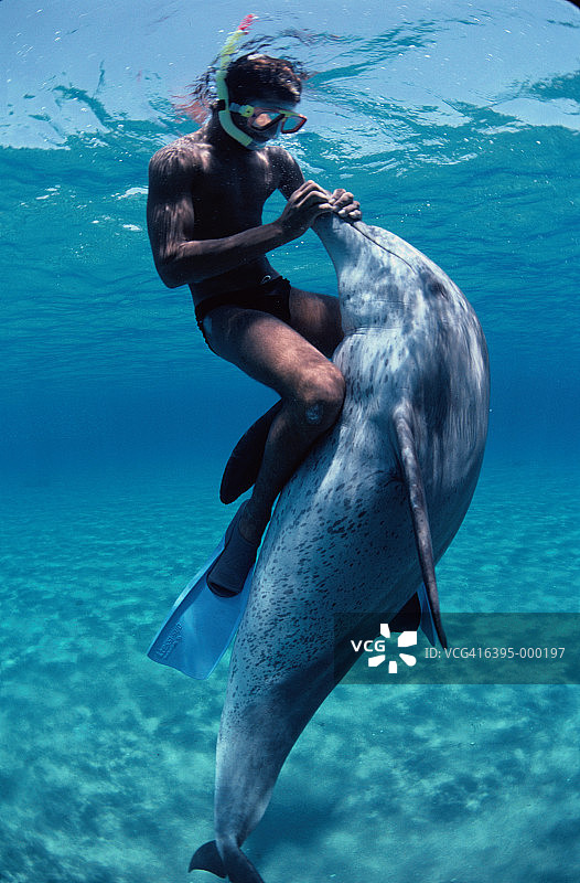 海豚和名潜水员图片素材