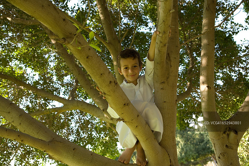 一个男孩在树上。图片素材
