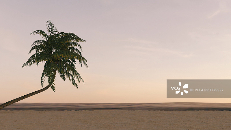黄昏海滩上的棕榈树，3D渲染图片素材