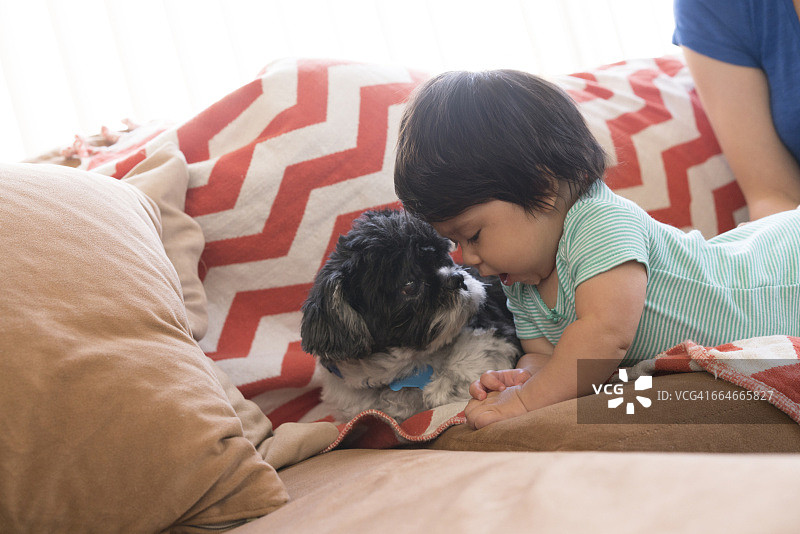 宝宝和宠物狗在沙发上玩图片素材
