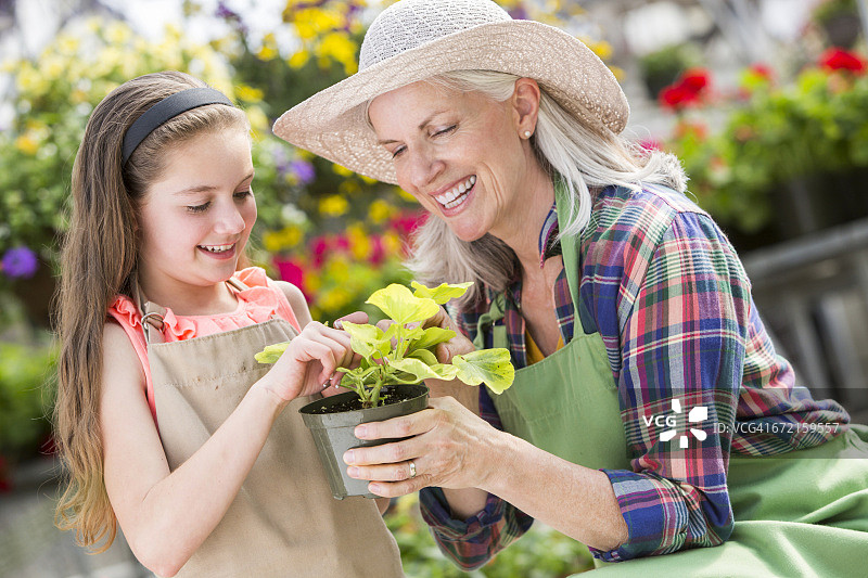 白人祖母和孙女在温室里捧着盆栽图片素材