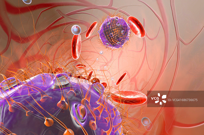 血液中的病毒、红细胞和氧气，3D渲染图片素材