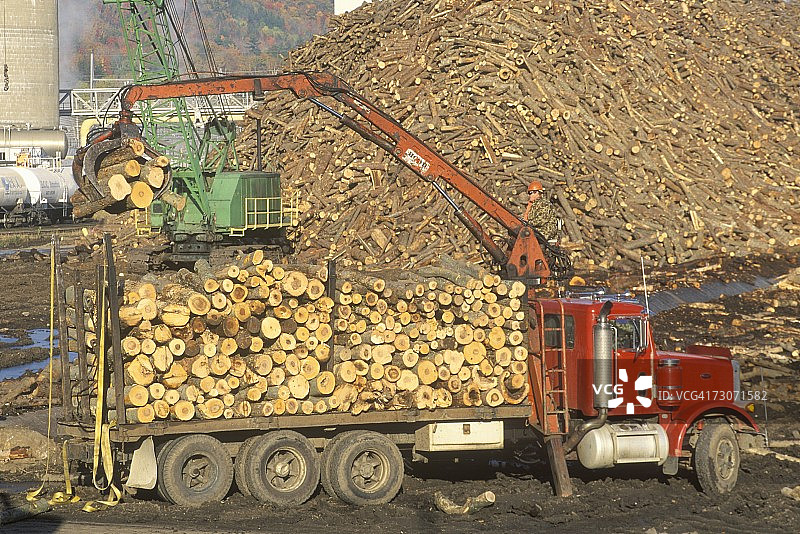 缅因州拉姆福德的博伊西层叠造纸厂，起重机正在将原木添加到一大堆准备造纸的木材中。图片素材