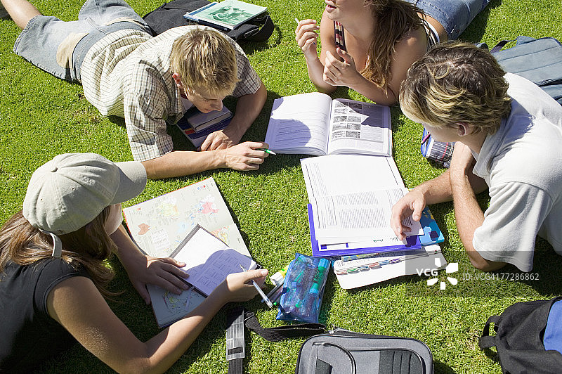 学生们在户外的草地上学习图片素材
