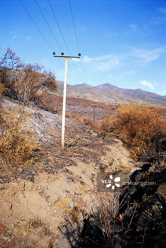 电线杆位于已烧毁的土地和灌木丛之间的电线杆图片素材