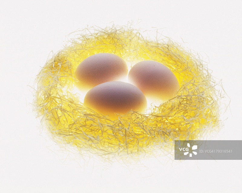 鸟巢里的三个蛋图片素材