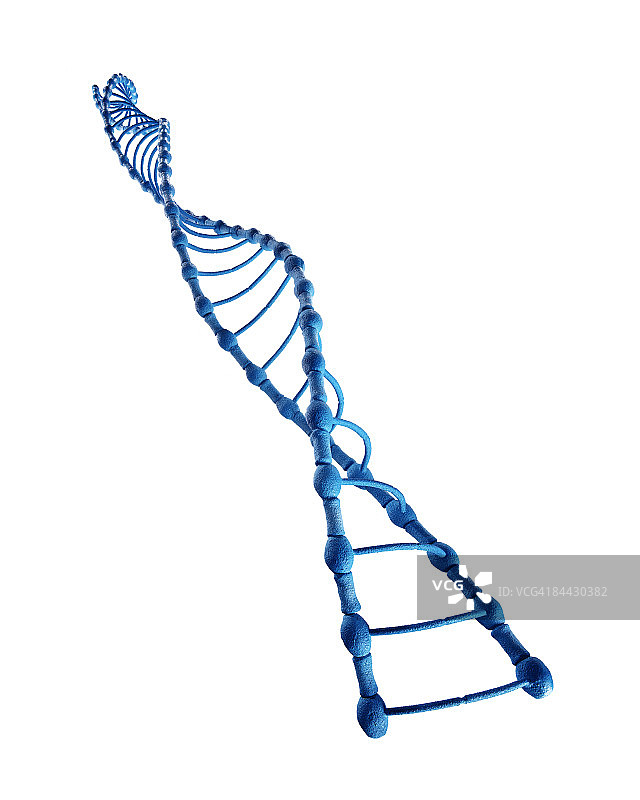 模型制造了蓝色的DNA链图片素材