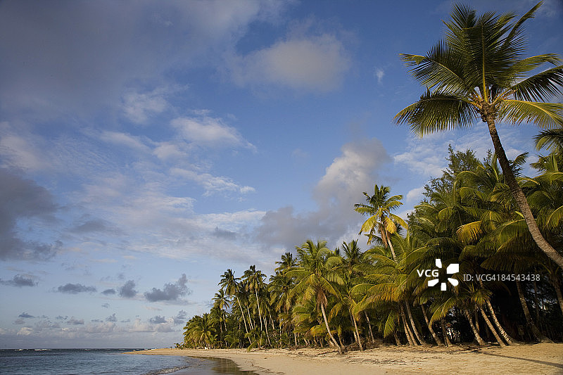 拉斯特雷纳斯，萨马纳半岛，多米尼加共和国，西印度群岛，加勒比，中美洲图片素材