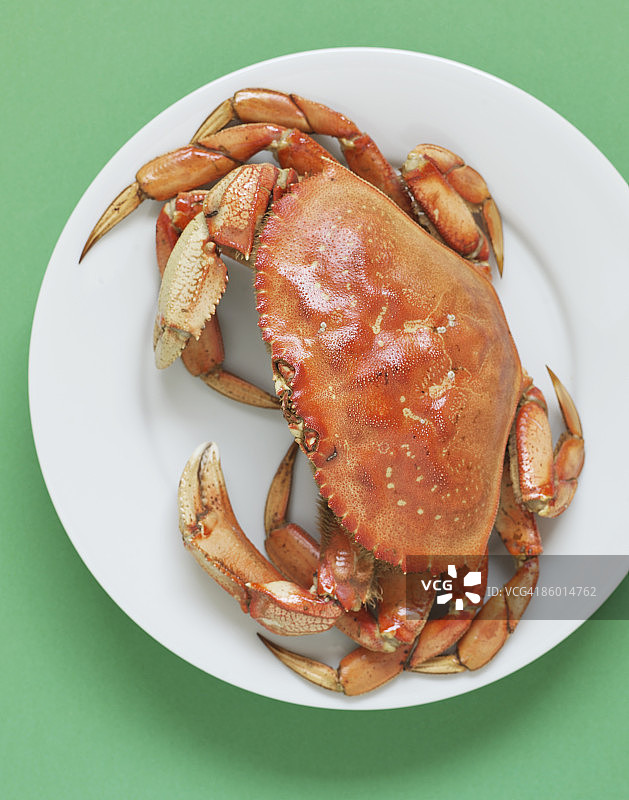 盘子里的螃蟹图片素材