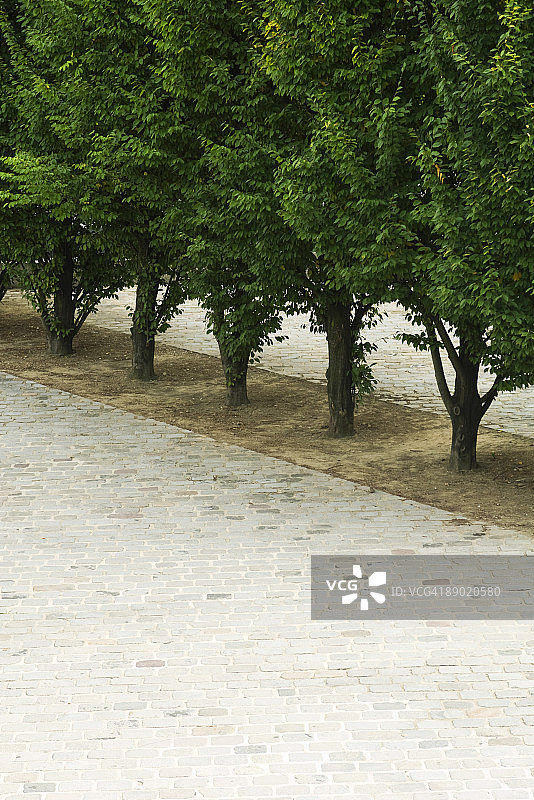 法国，巴黎，公园里有一排树图片素材