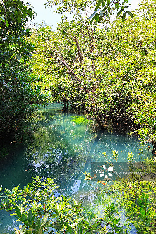 红树林与绿松石水道在泰国甲米图片素材