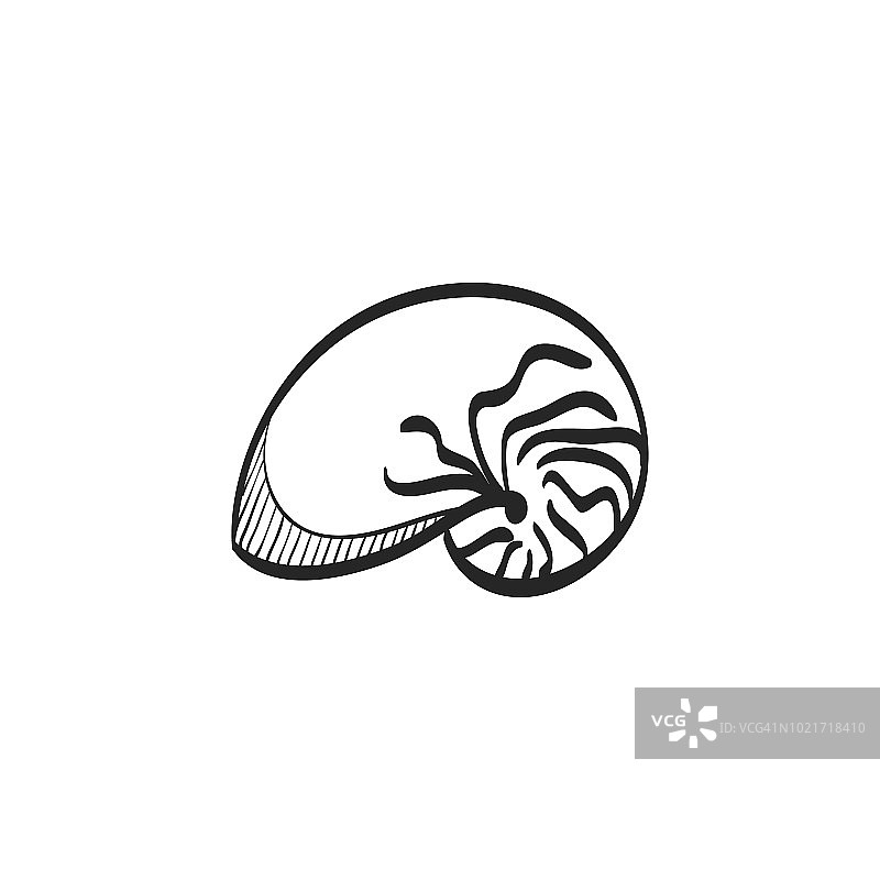 草图图标-鹦鹉螺图片素材