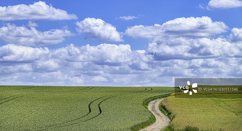 蜿蜒的道路穿过农田图片素材